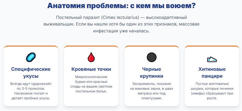 Постельные клопы в квартире уничтожение и профессиональная дезинсекция мебели в Таганроге